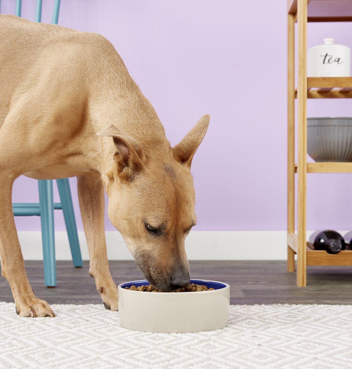 Ethical Pet Stoneware Crock Pet Dish