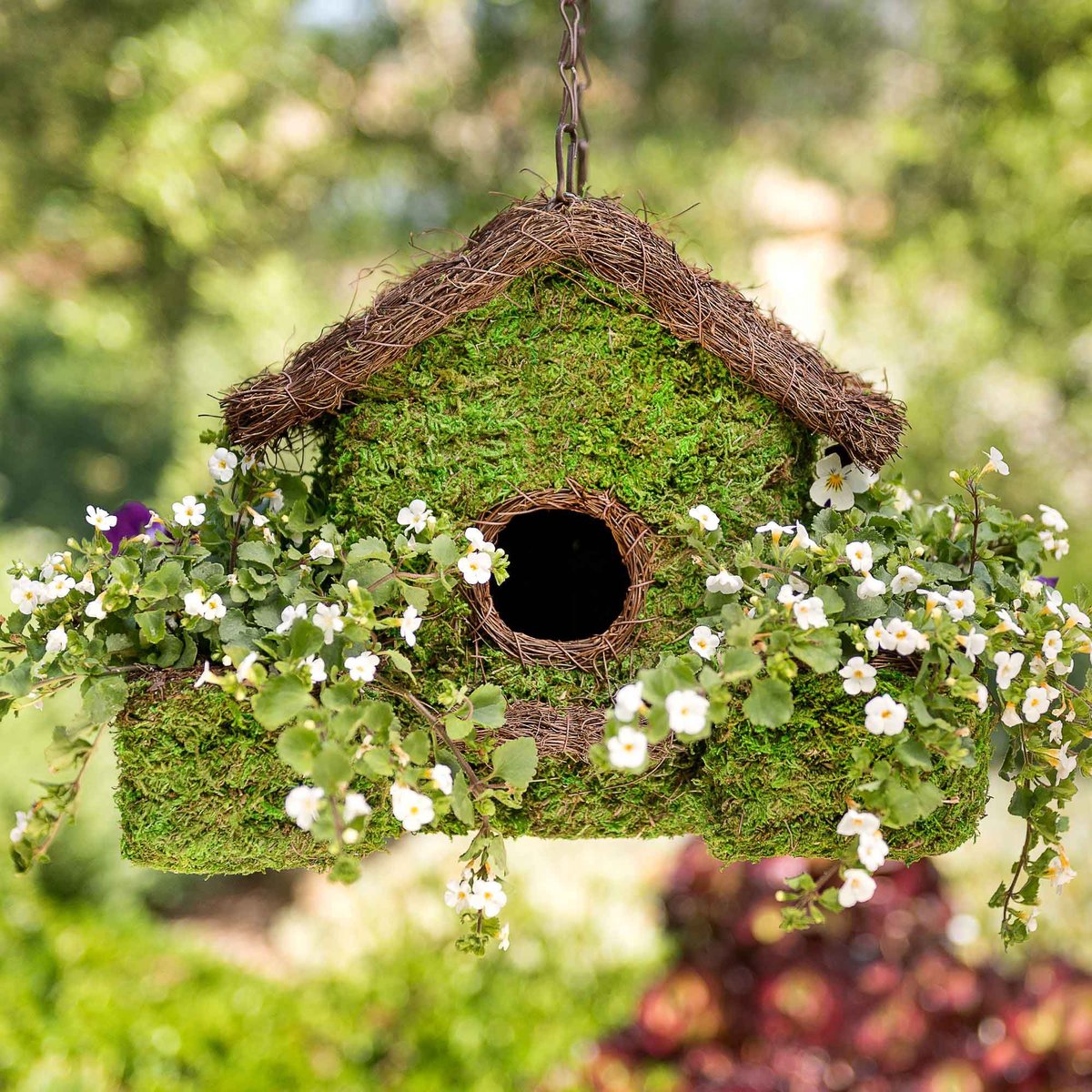 Galapagos Plantable Maison Patio Birdhouse， Fresh Green