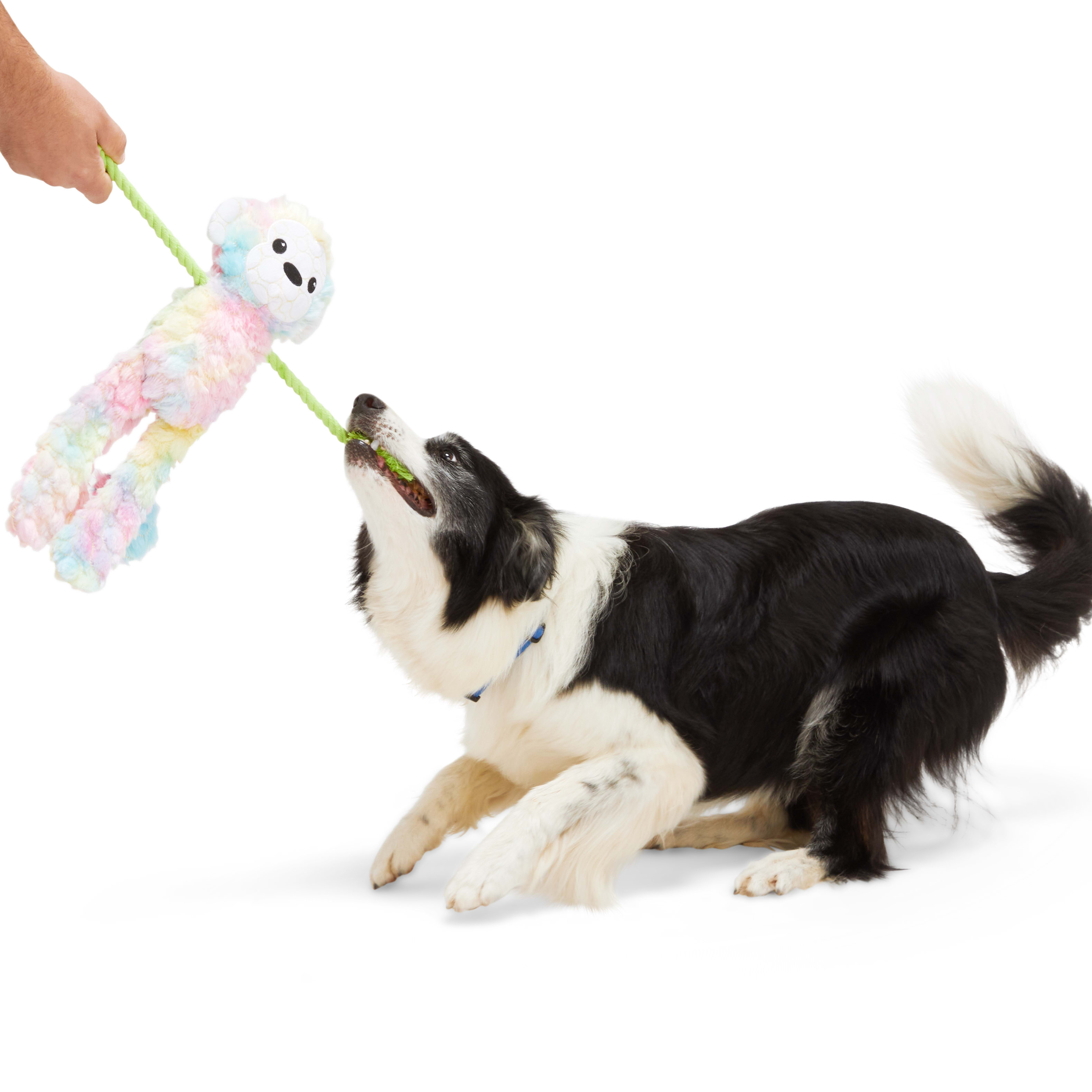 Leaps  Bounds Tough Monkey with Rope Tug Dog Toy