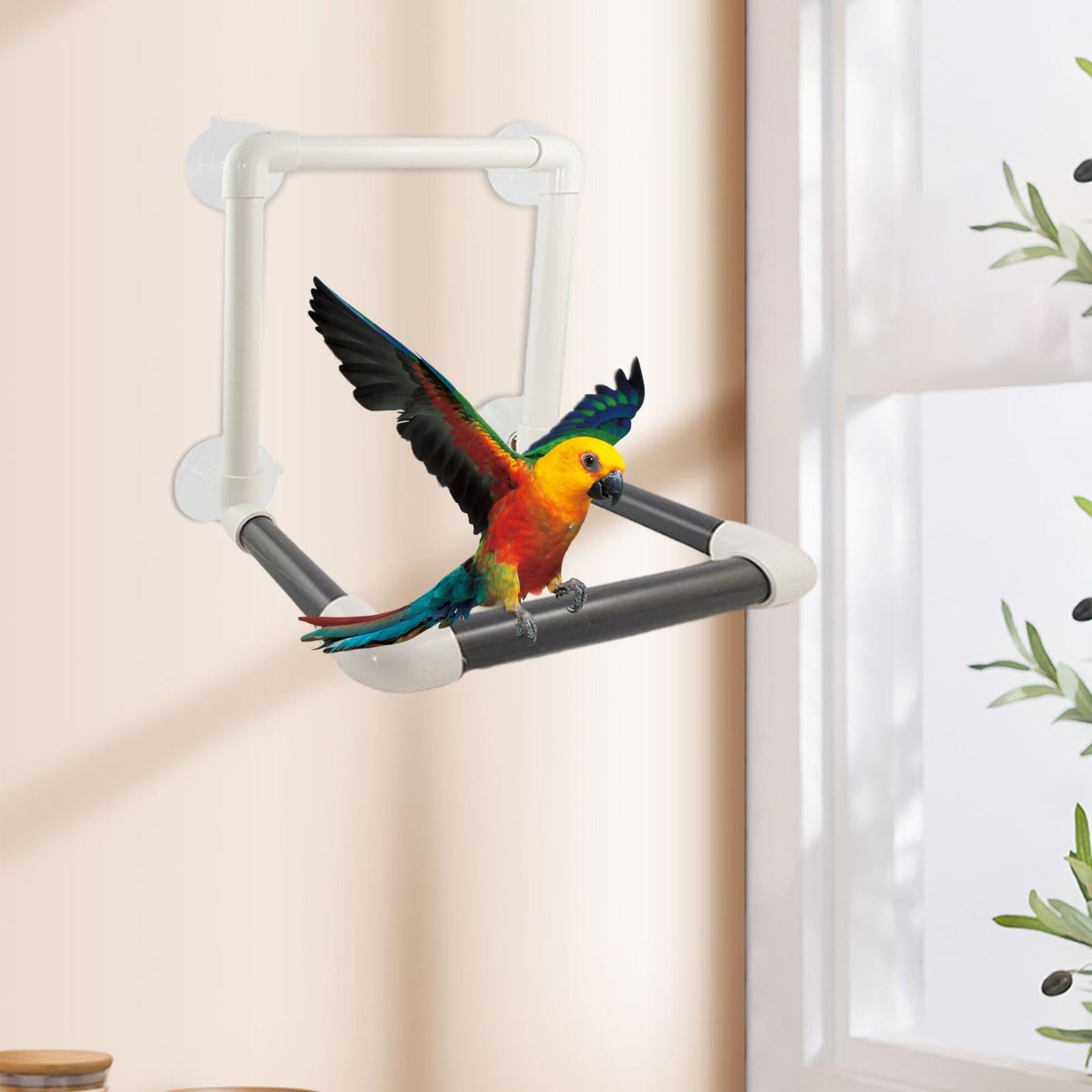 Plastic Bird Parrot Shower Perch Parrot 4 Suction Cups Bath Platform for Cockatoo