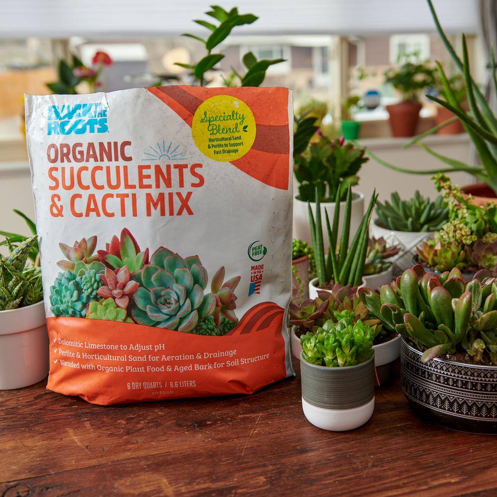 Back to the Roots 6-Quart Organic Succulent Mix Soil (8-pack) 47019