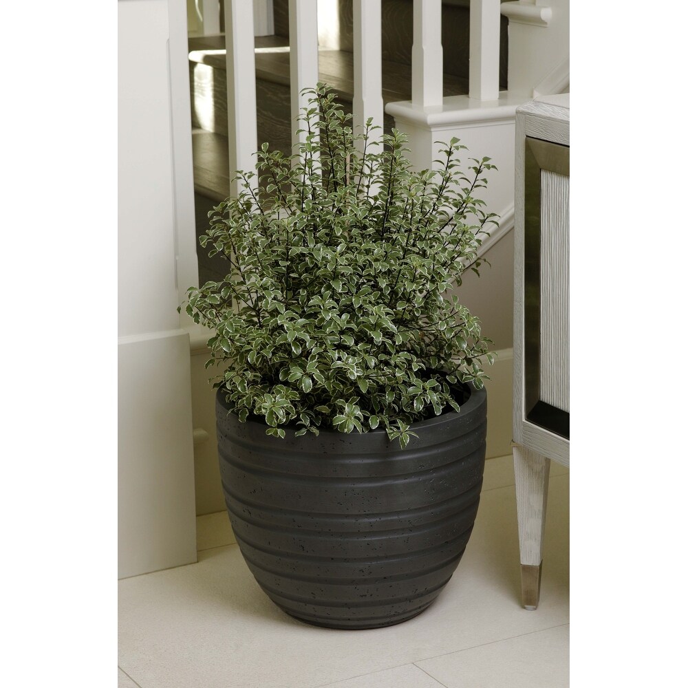 Indoor/Outdoor Large Nordic Minimalist Fiberstone Lightweight Round Planter Pot   21  18  15 inch Cement Finish