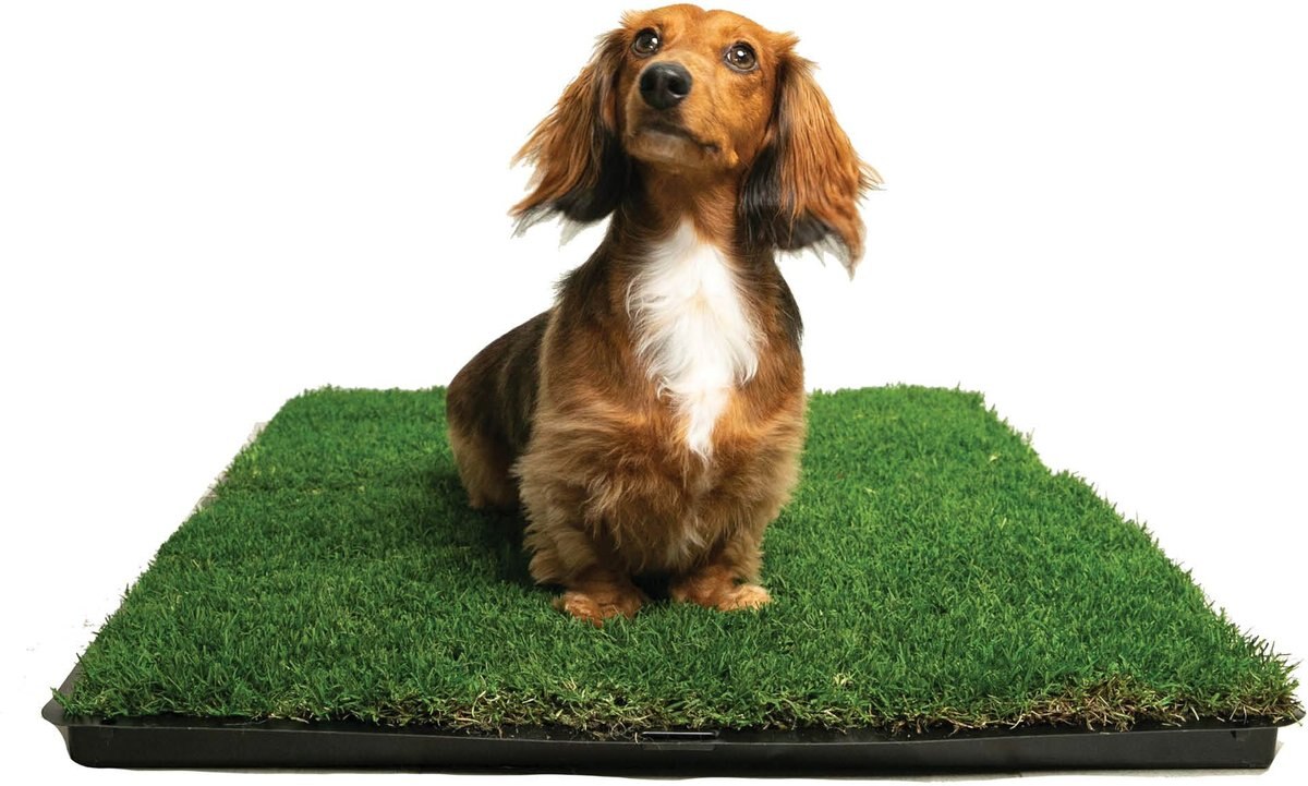 Gotta Go Grass The Natural Relief Dog Potty Pads， 16-in x 24-in