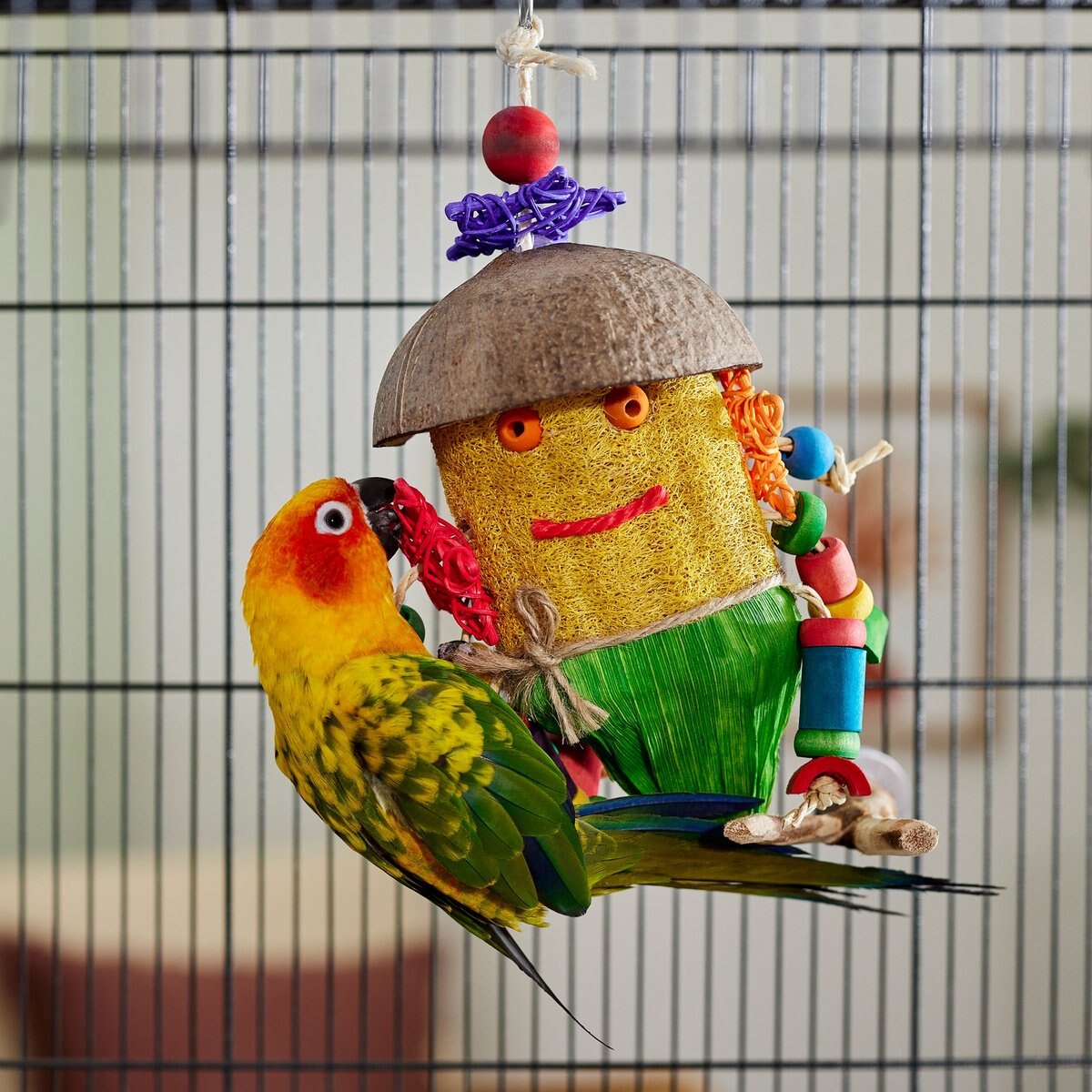 Frisco Tropical Hula Tiki Bird Chew Toy