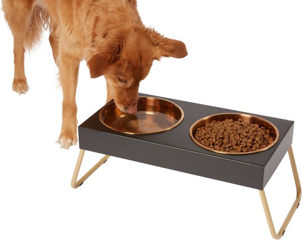 Frisco Copper Stainless Steel Elevated Foldable Double Dog and Cat Bowls