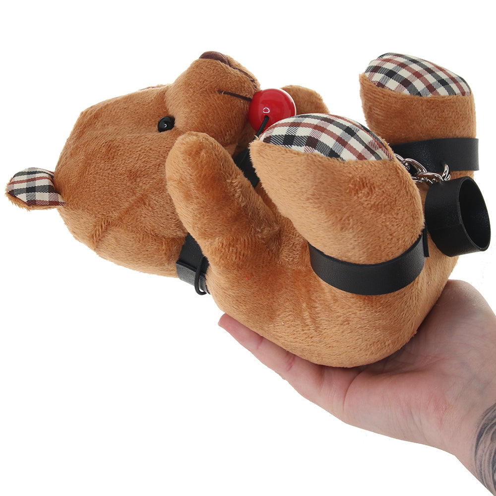 Master Series Gagged Teddy Bear