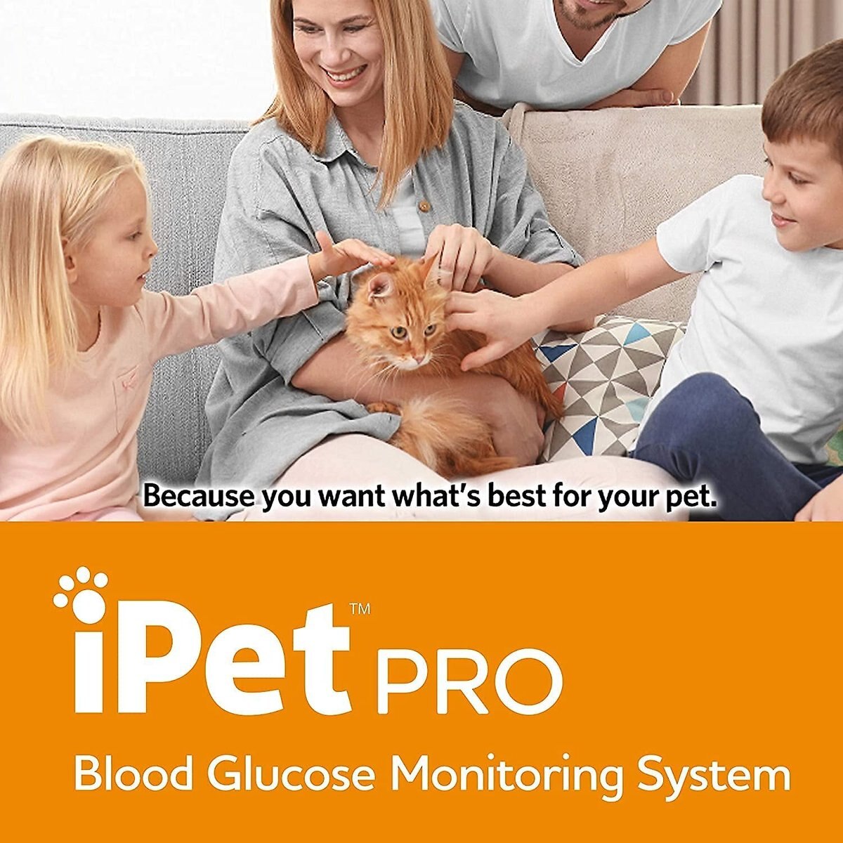 iPet PRO Blood Glucose Monitoring System Starter Kit for Dogs and Cats