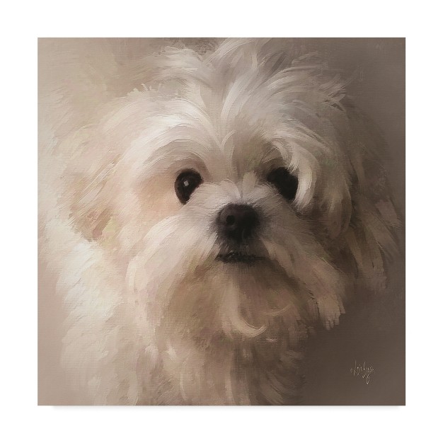 Trademark Fine Art lois Bryan x27 maltese Puppy Portrait x27 Canvas Art