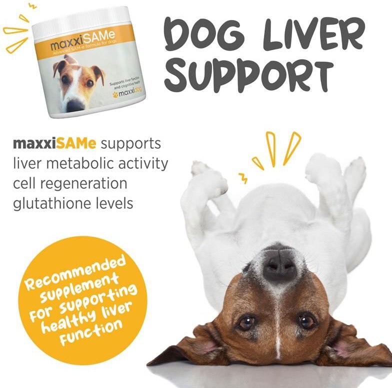 maxxipaws MaxxiSAMe SAM-e Supplement for Dogs