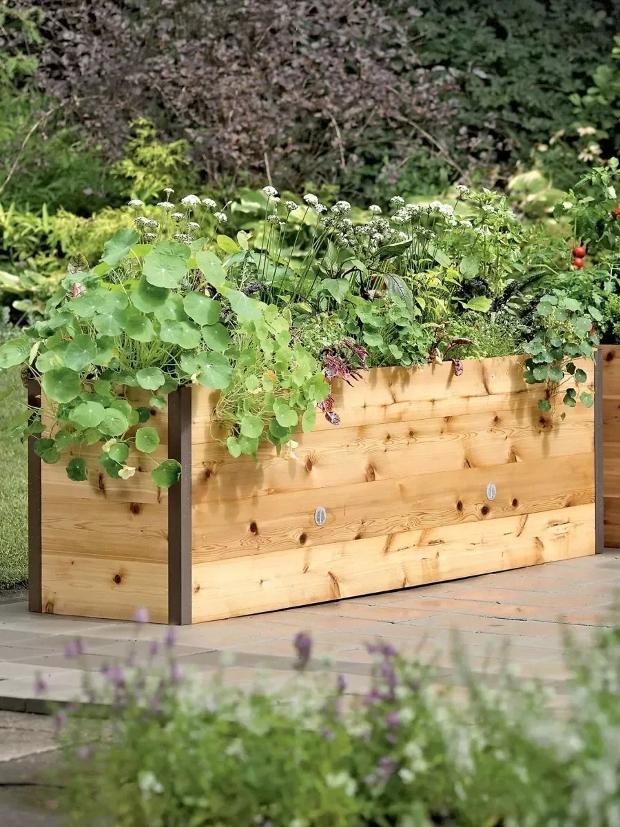 Watering Eco-Stained Elevated Planter Box