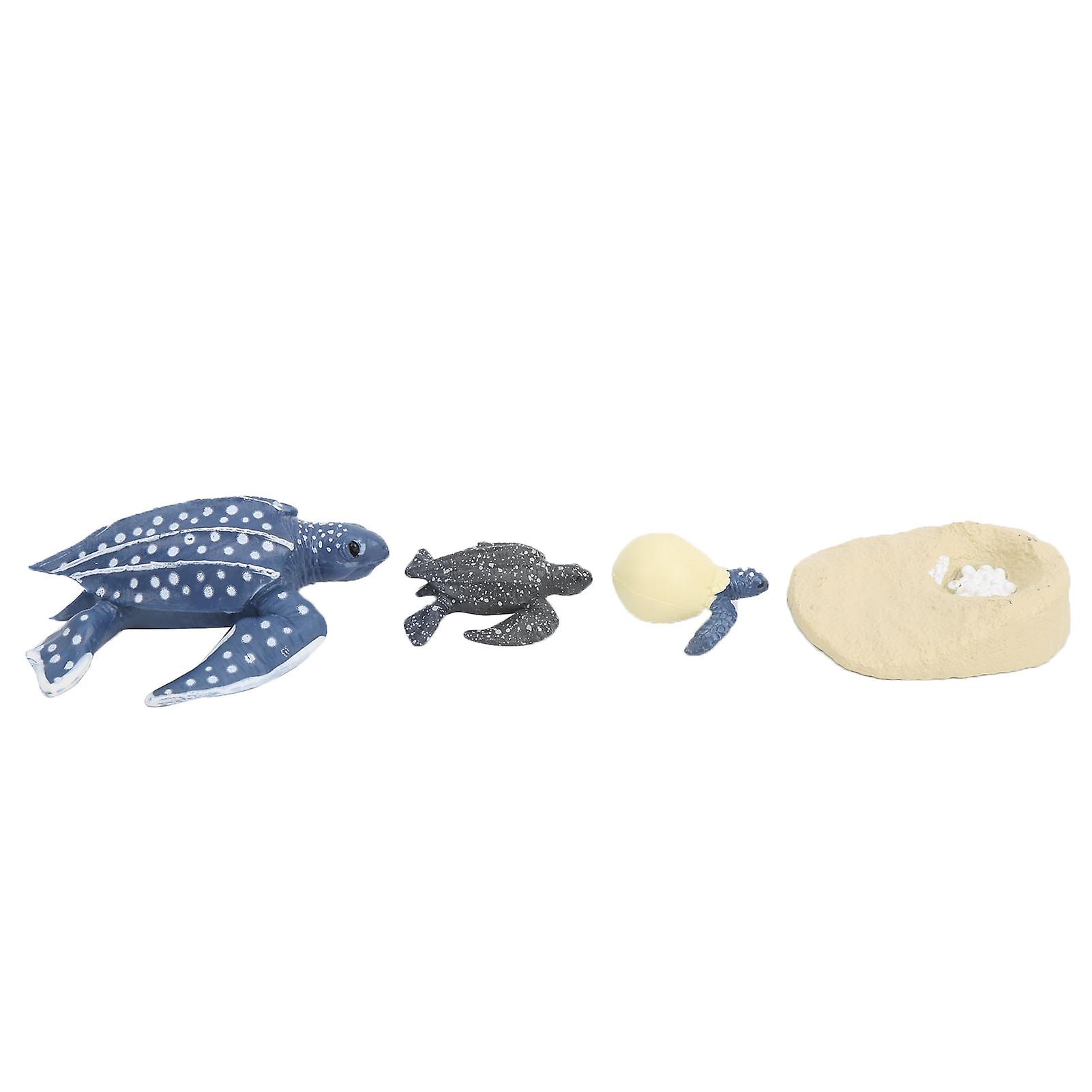 Simulation Animal Model Sea Life Animals Life Cycle Cognitive Model Kid Science Toy2425