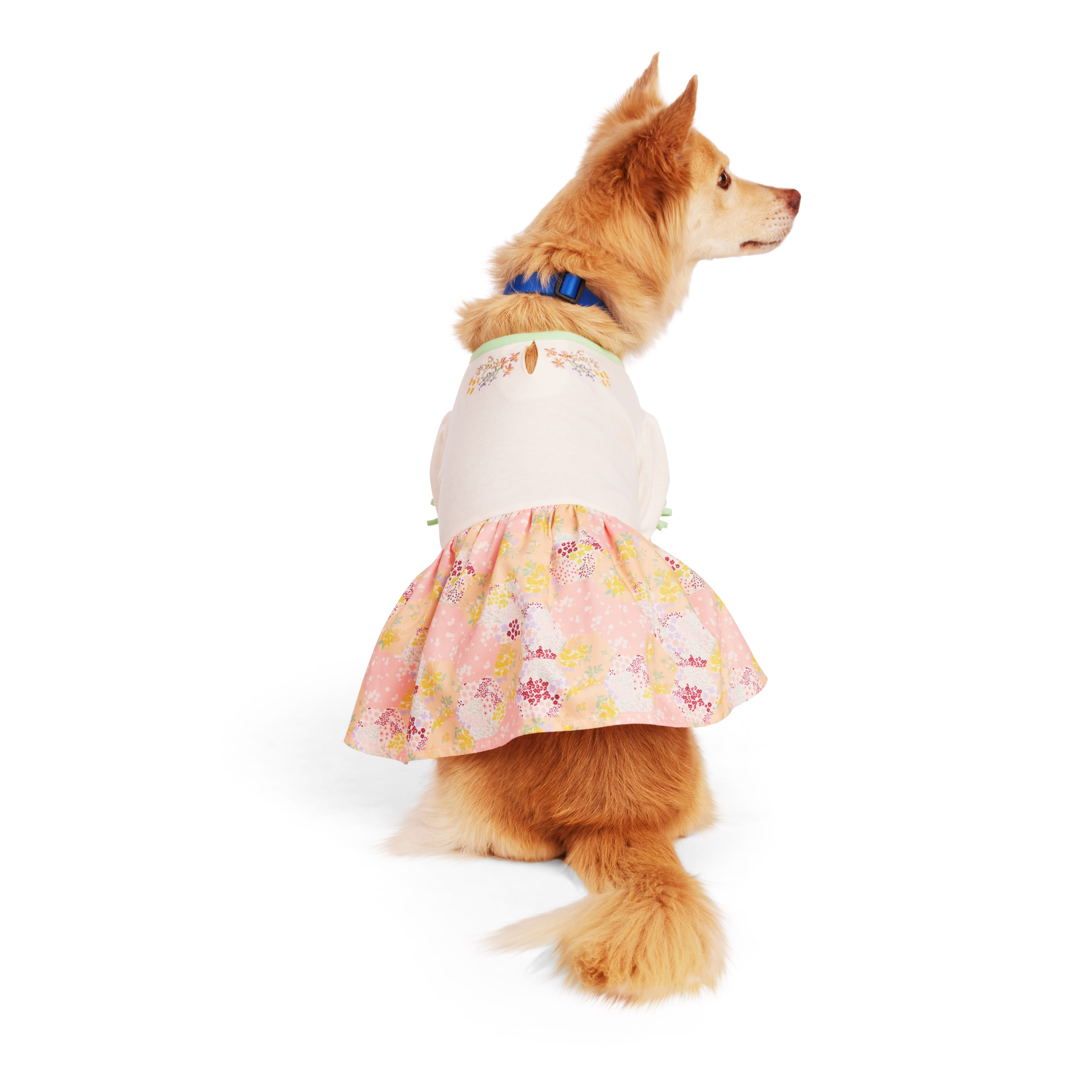 YOULY Floral Tee Dress for Dogs， XX-Small