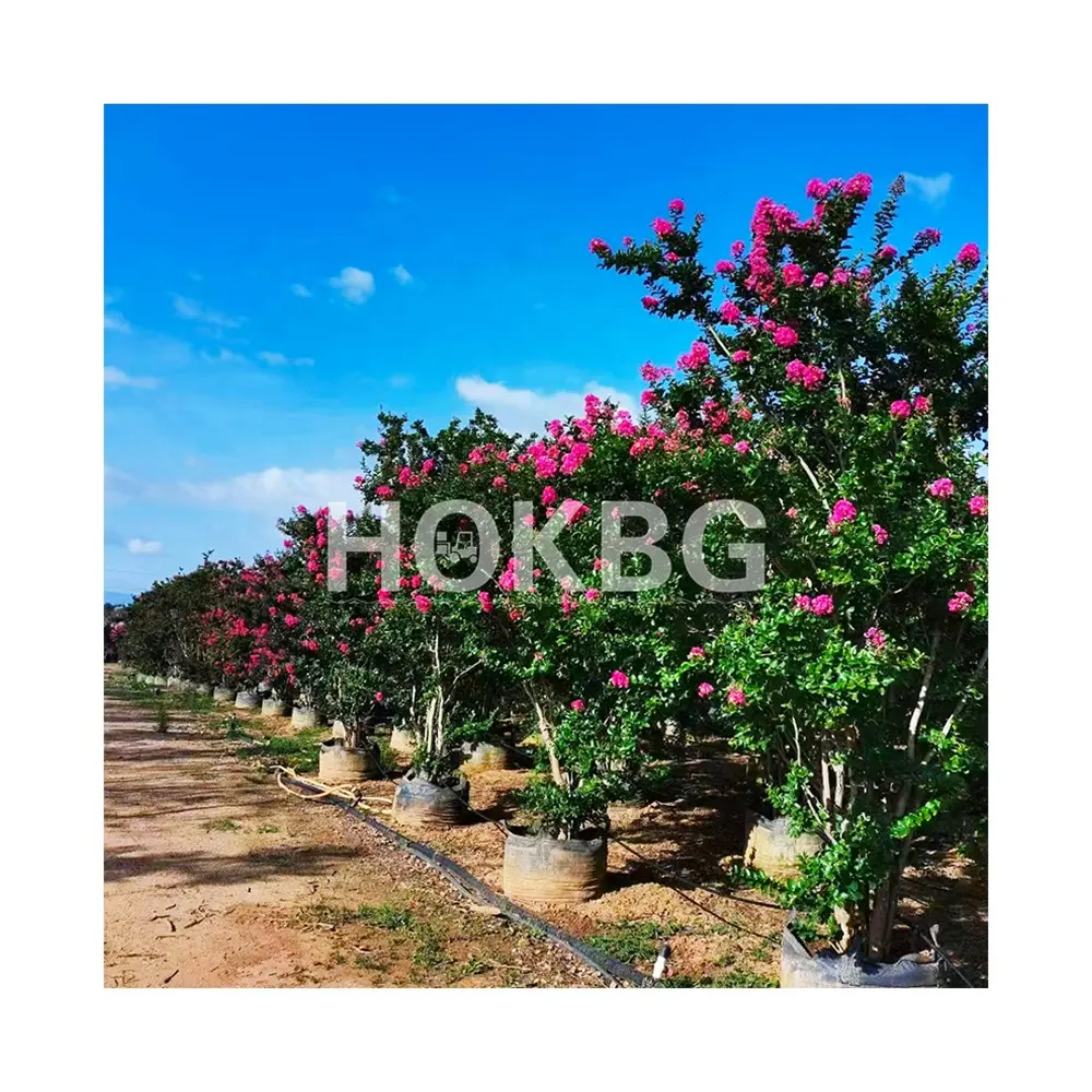 HOKBG 20 gallon amazon hotsale planters wholesale online plants fabric pots planting tree bags grow planting grow bags