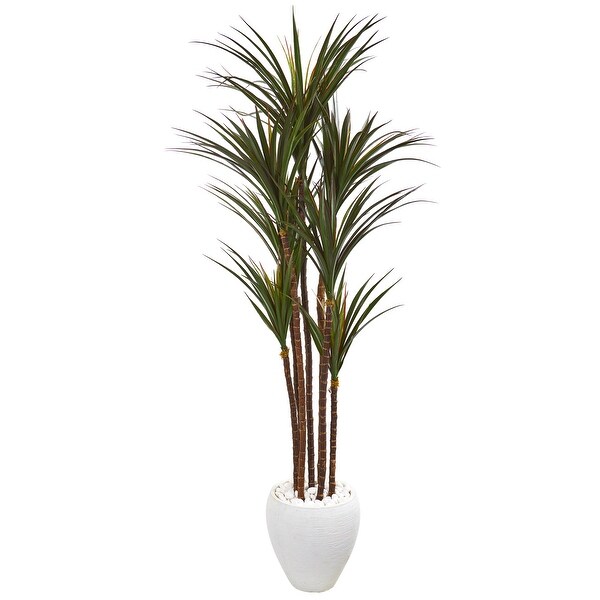 70 Giant Yucca Tree in White Planter UV Resistant