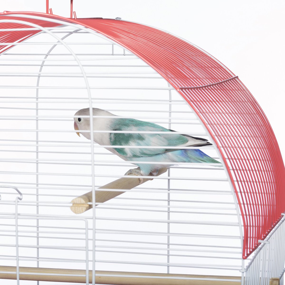 Prevue Pet Products Southbeach Dome Top Bird Cage