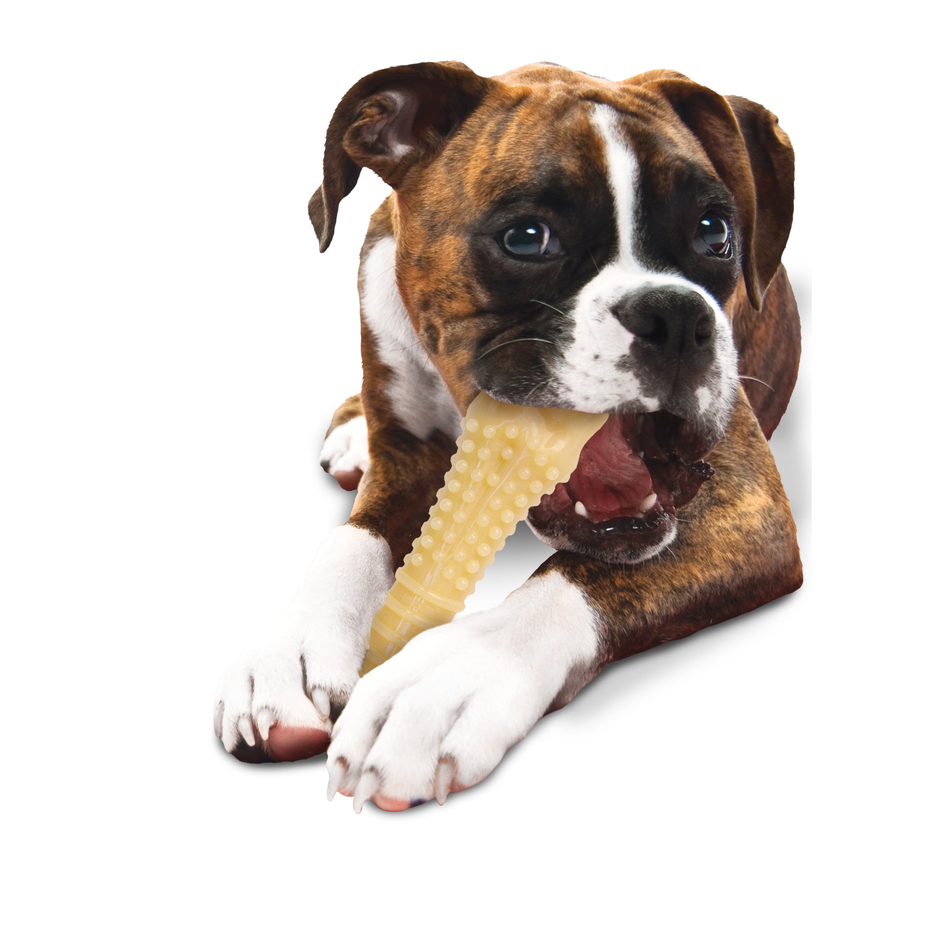 Nylabone Power Chew Flavored Durable Chew Toy for Dogs Original X-Large/Souper (1 Count)