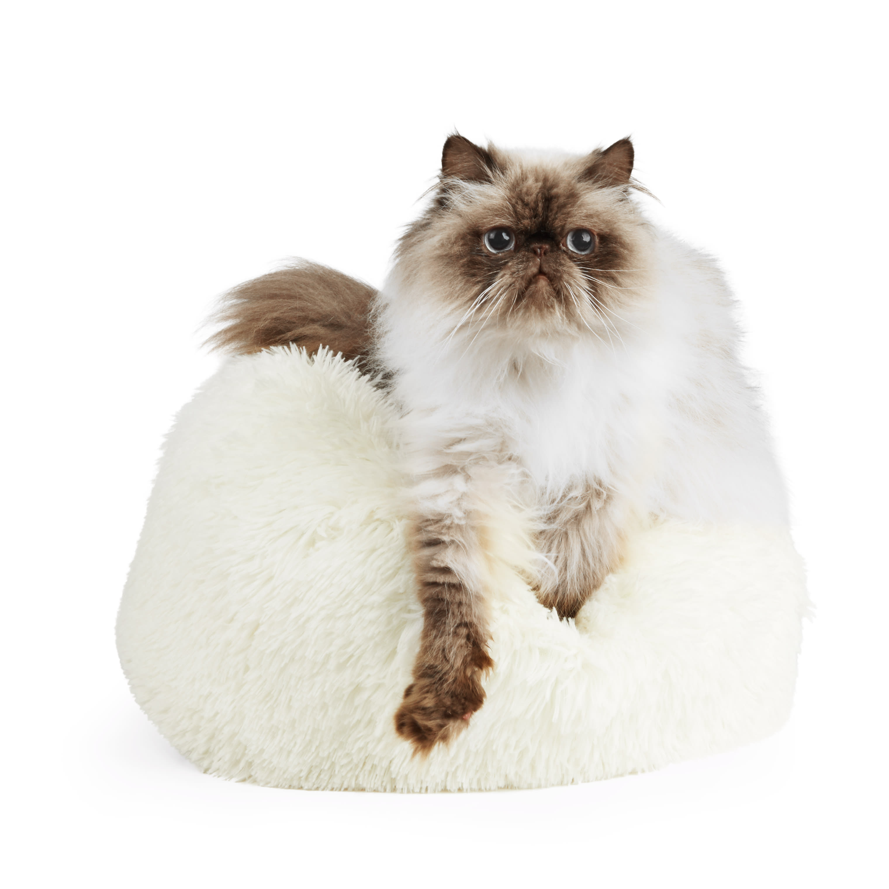 EveryYay Snuggle Ball Orthopedic Cuddler Cat Bed， 18