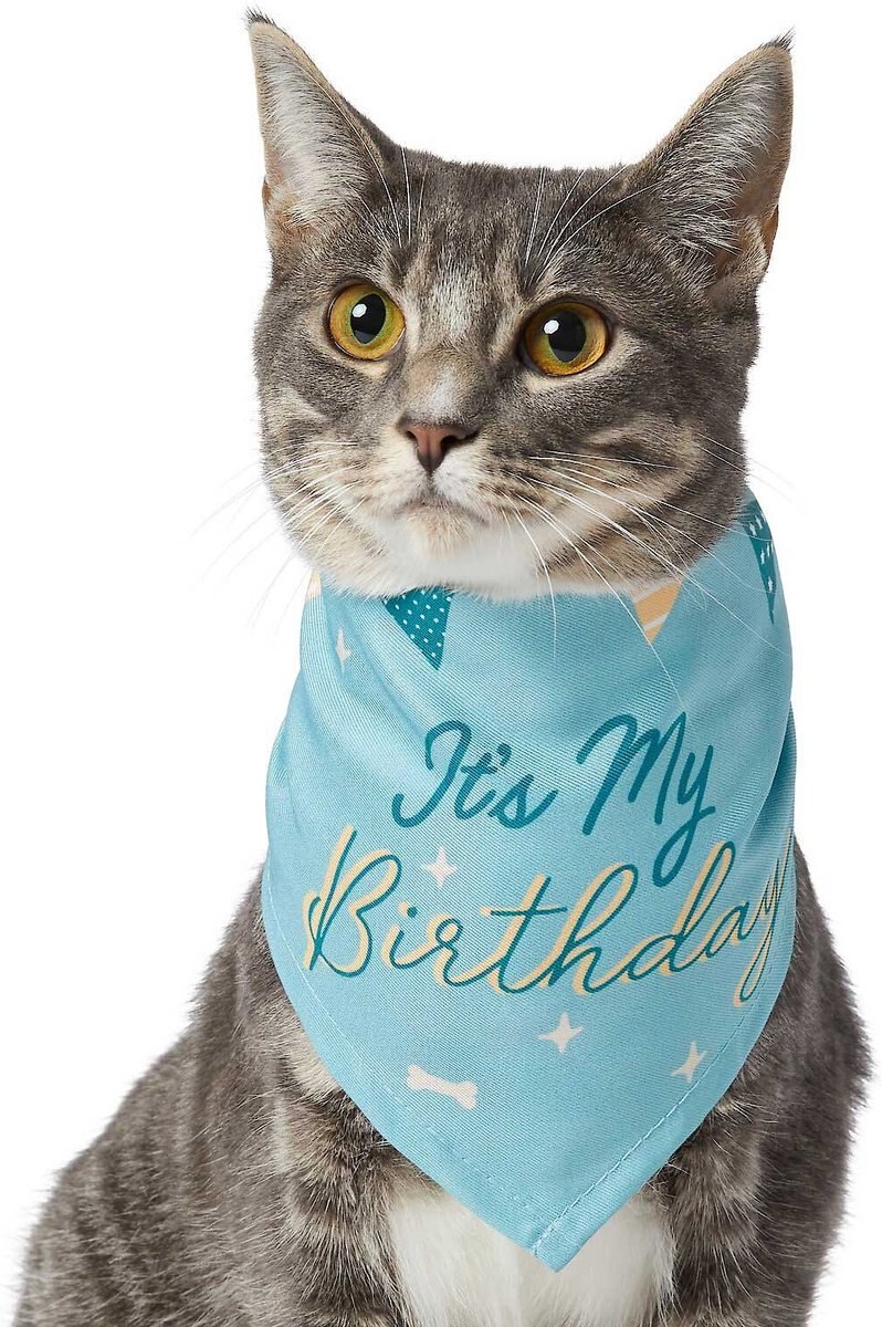 Frisco It's My Birthday Dog and Cat Bandana， Blue