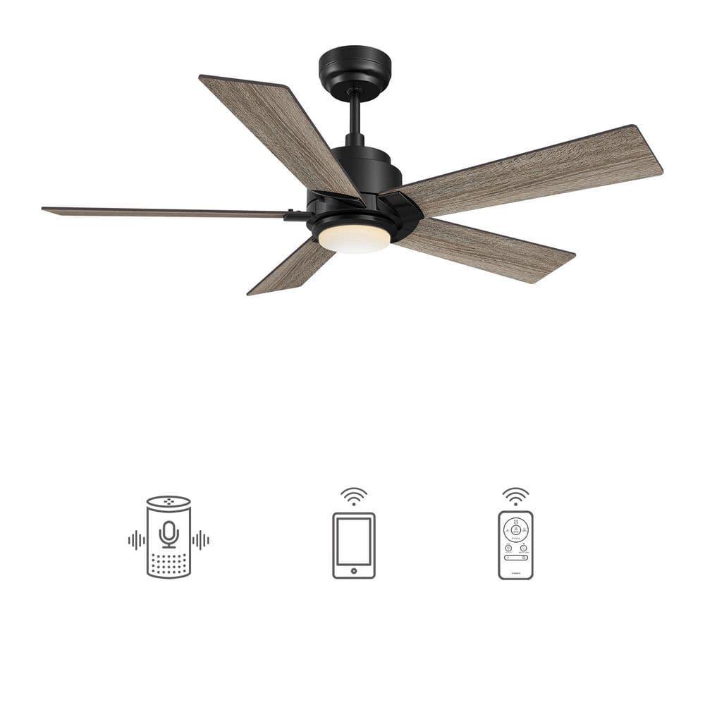 CARRO Aspen 56 in Dimmable LED IndoorOutdoor Black Smart Ceiling Fan with Light and Remote Works with AlexaGoogle Home