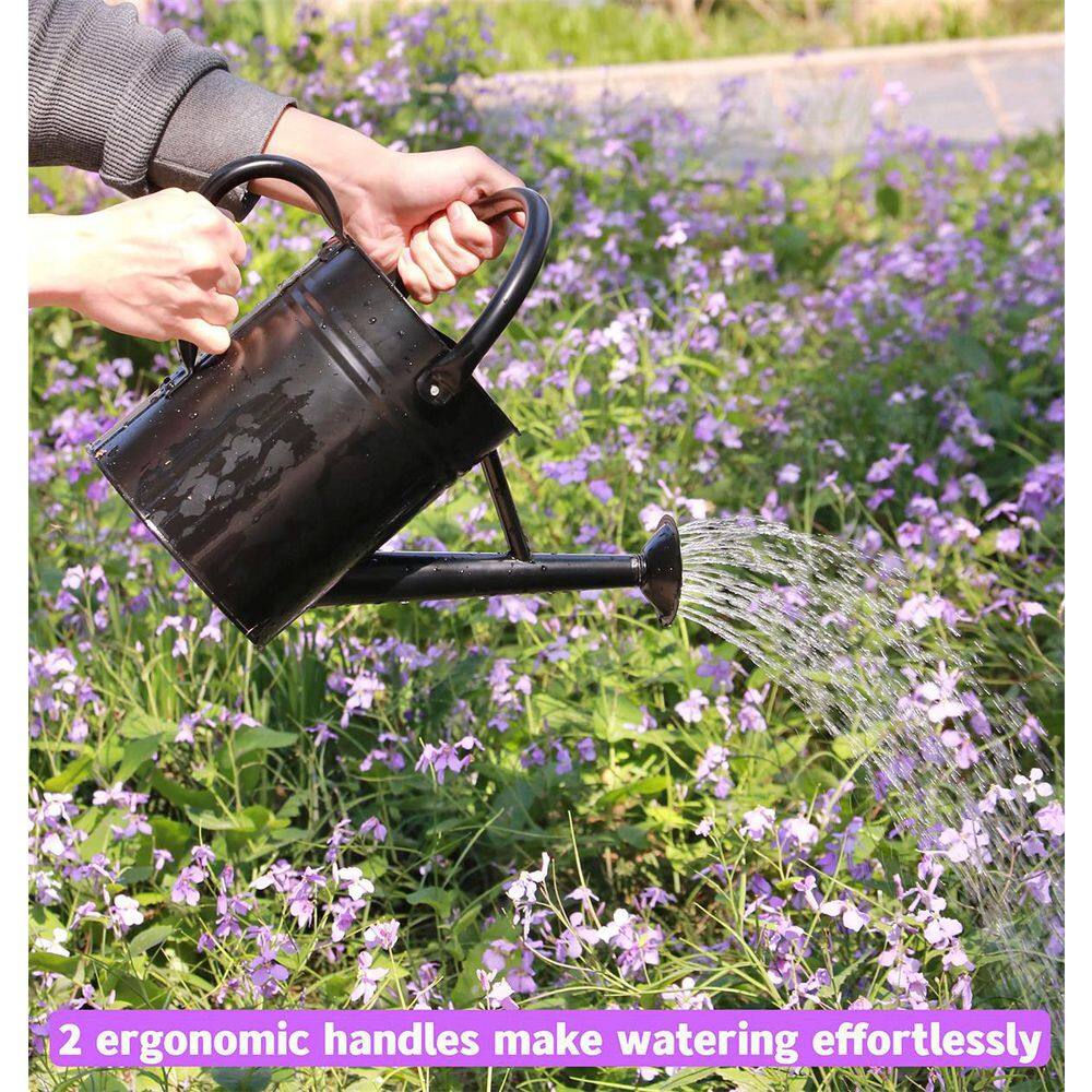 Dyiom 1 Gal. Black Metal Plant Watering Can with Handles Galvanized Steel Watering Pot B09GVGFDKH