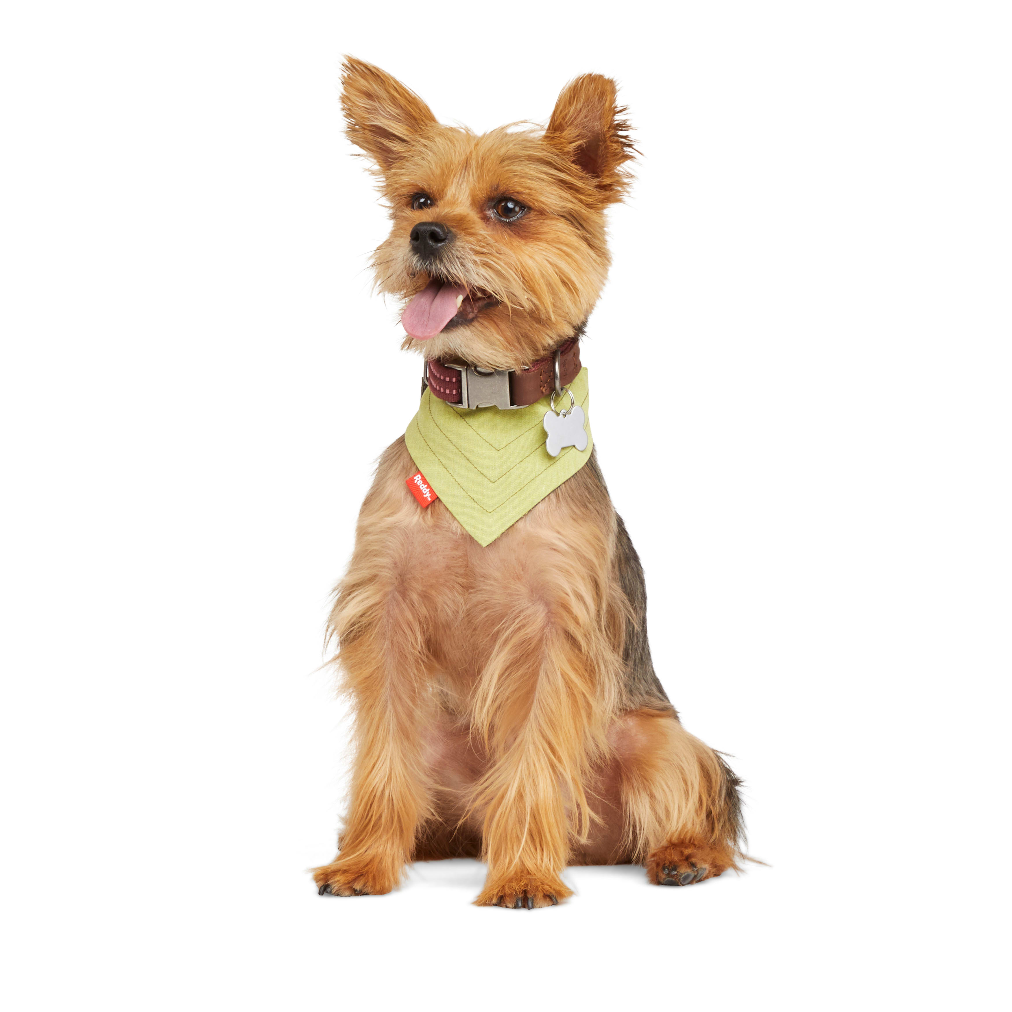 Reddy Green Reversible Dog Bandana， X-Small/Small