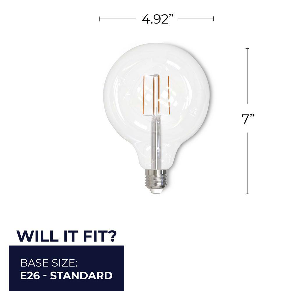 Bulbrite 60-Watt Equivalent G40 Clear Dimmable Edison LED Light Bulb Warm White (2-Pack) 861573