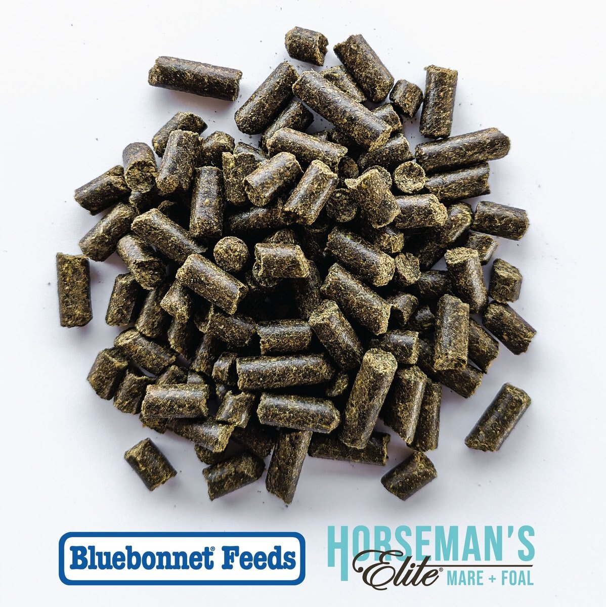 Bluebonnet Feeds Horsemans Elite Mare and Foal Pellet Horse Feed