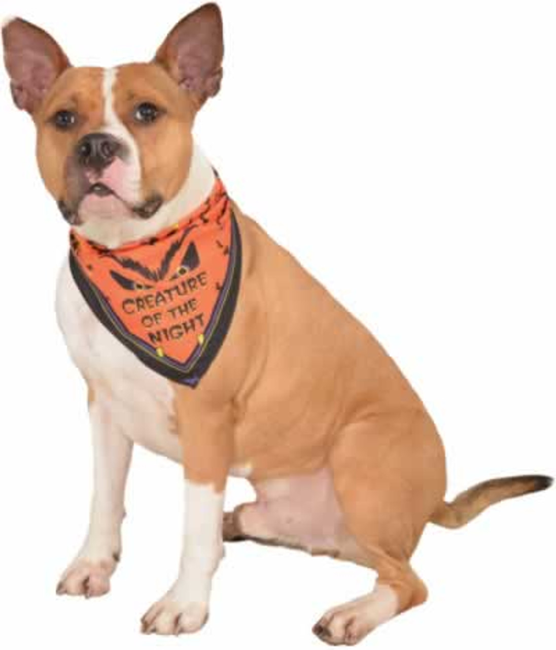 Rubie's Halloween Creature of the Night Dog Bandana Costume