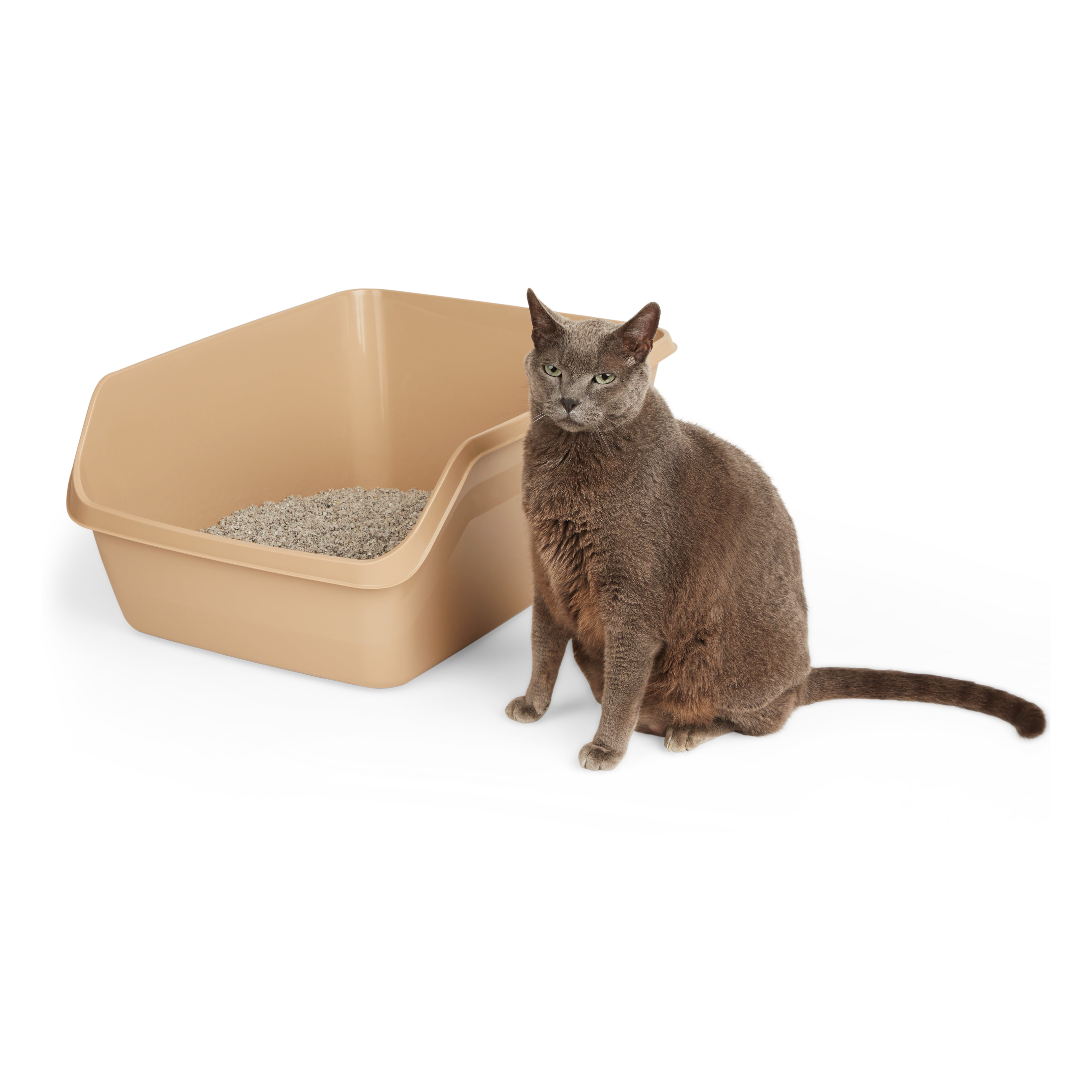 So Phresh Tan Scatter Shield High-Back Litter Box for Cat， X-Large