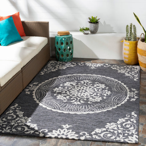 Rain Medallion Indoor/Outdoor Charcoal Rug