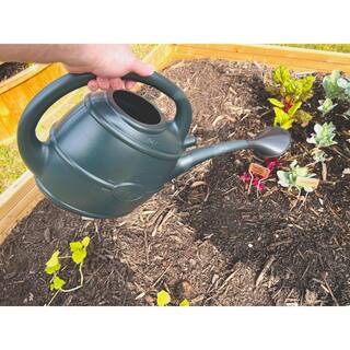 Bosmere English Garden 2-12 Gal. Outdoor Black Plastic Watering Can V565