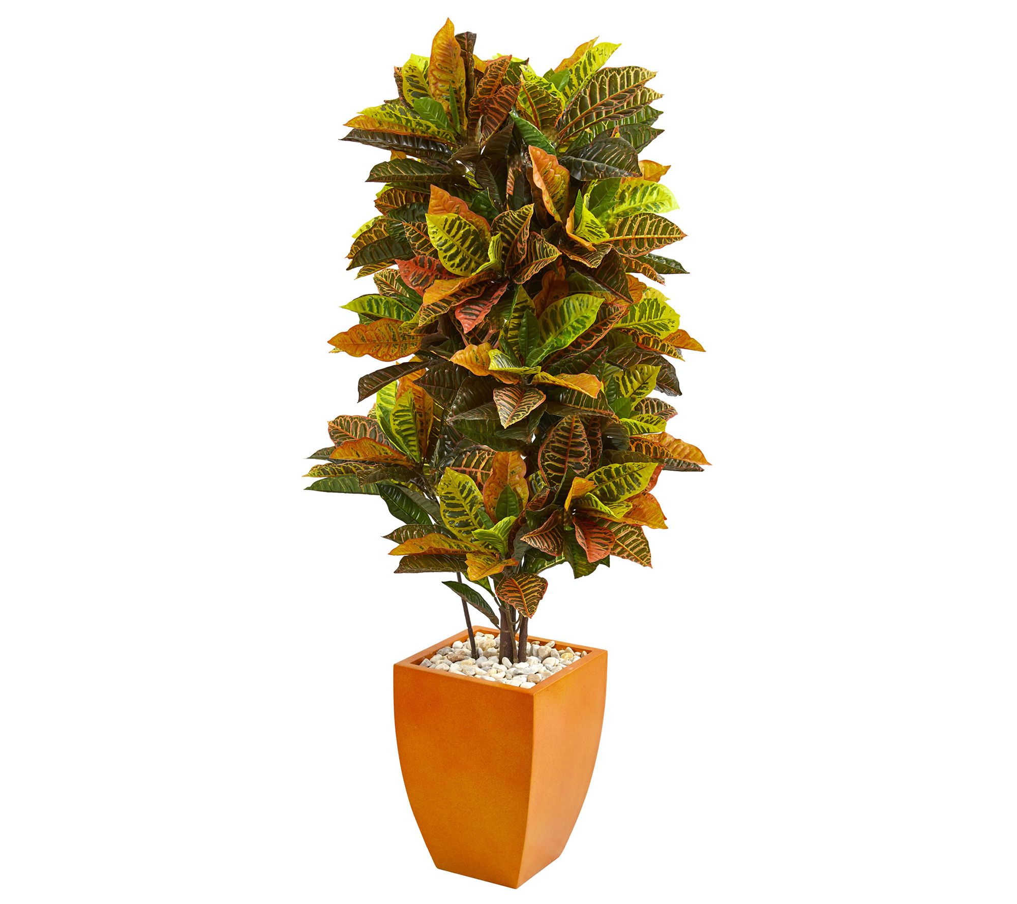 5.5' Croton Artificial Plant in Planter by Nearly Natural