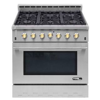 NXR Entree 36 in. 5.5 cu. ft. Professional Style Dual Fuel Range with Convection Oven in Stainless Steel and Gold NKD3611-G