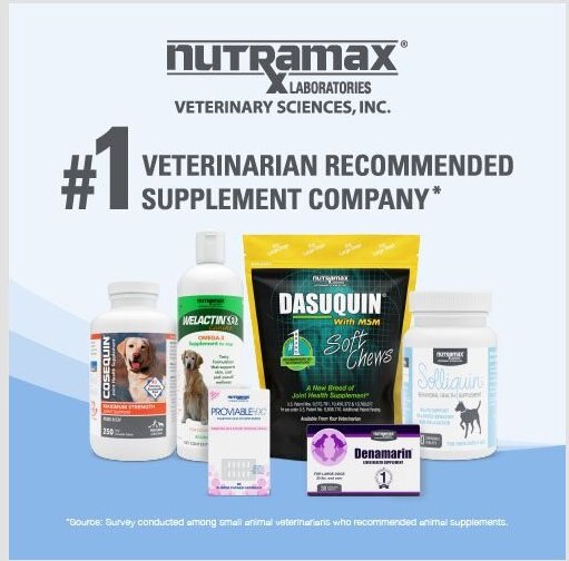 Nutramax Solliquin Chewable Tablets Calming Behavioral Health Supplement for Dogs