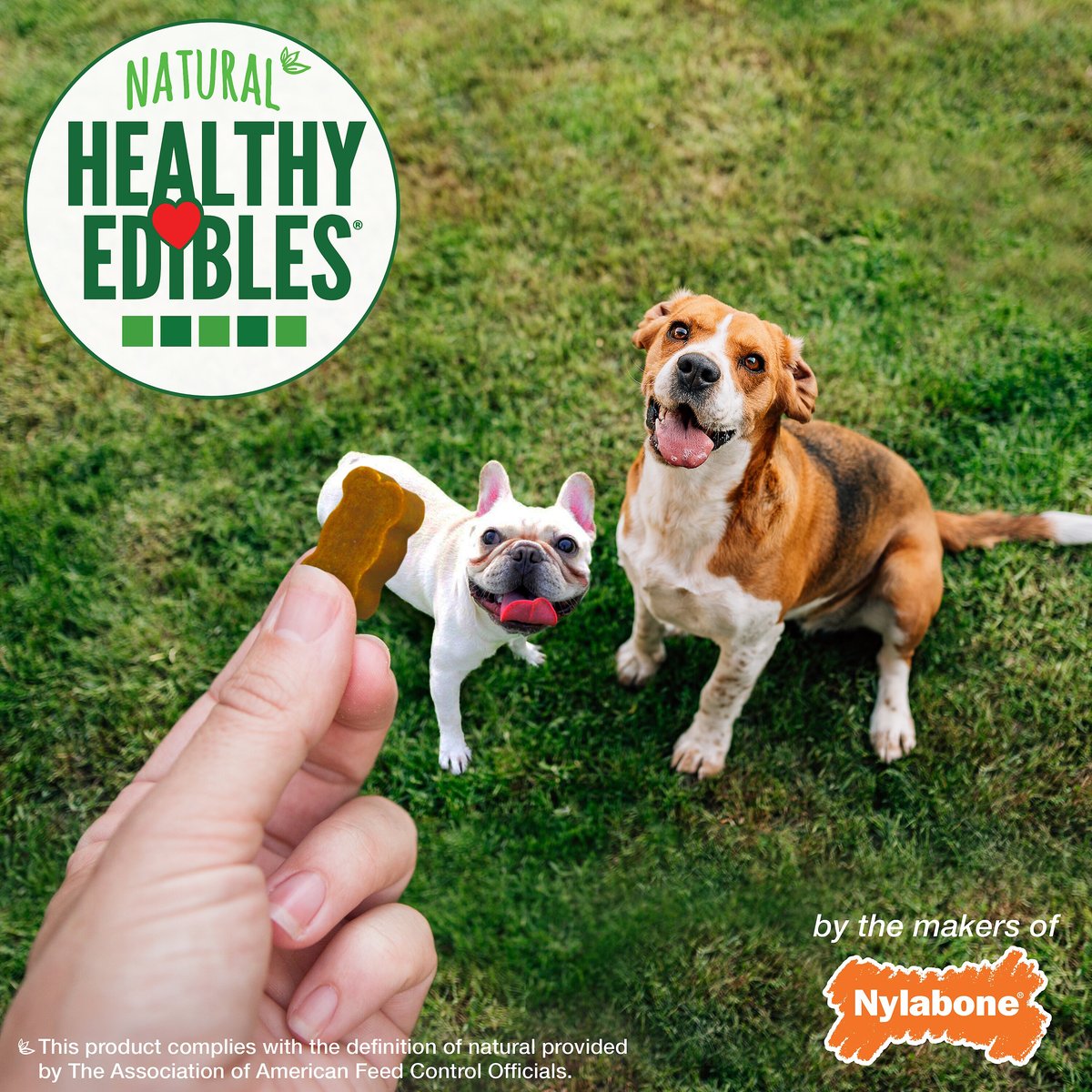 Nylabone Healthy Edibles Chewy Bites Peanut Butter Flavor Dog Training Treats， 12-oz bag