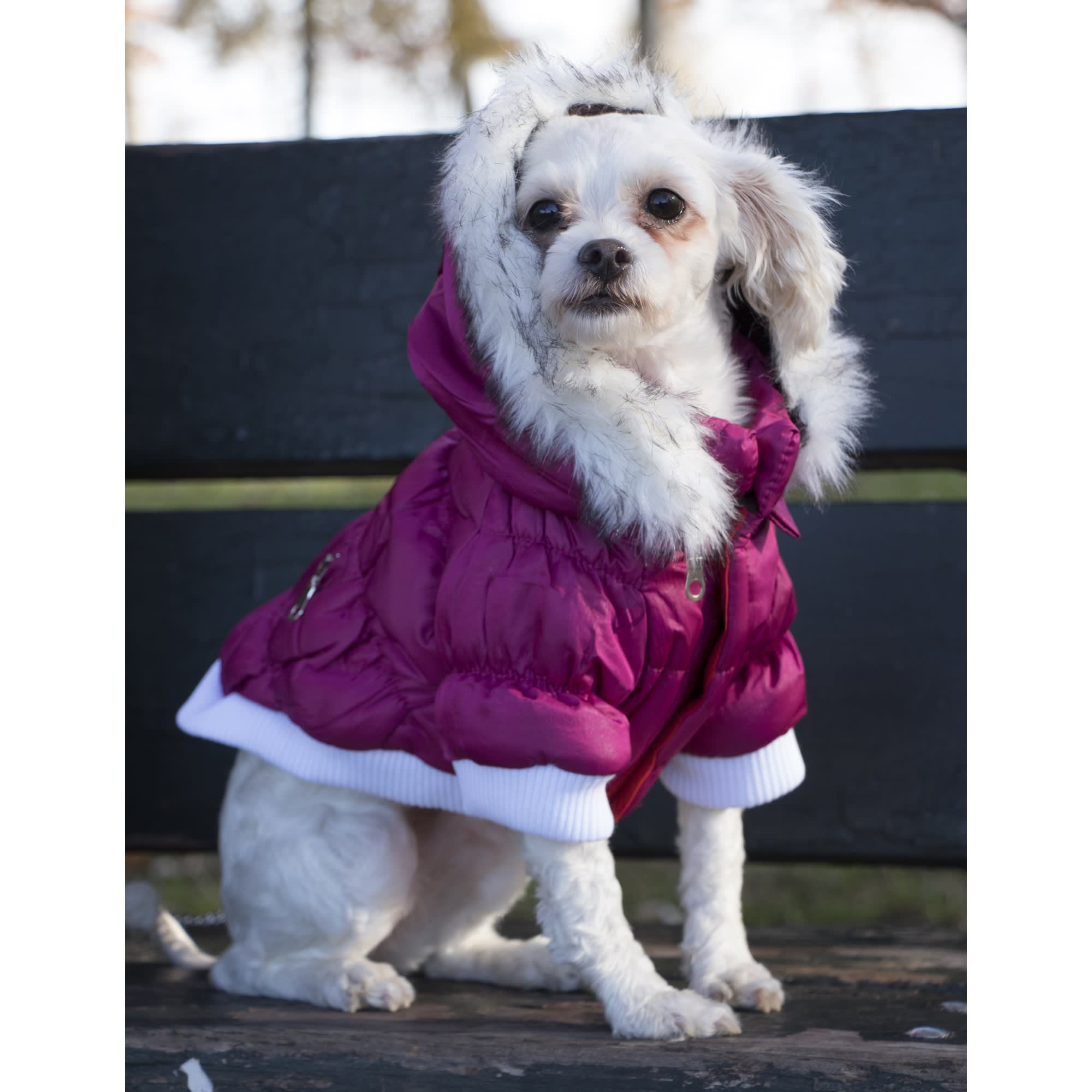 Pet Life Metallic Pink Dog Parka， Small