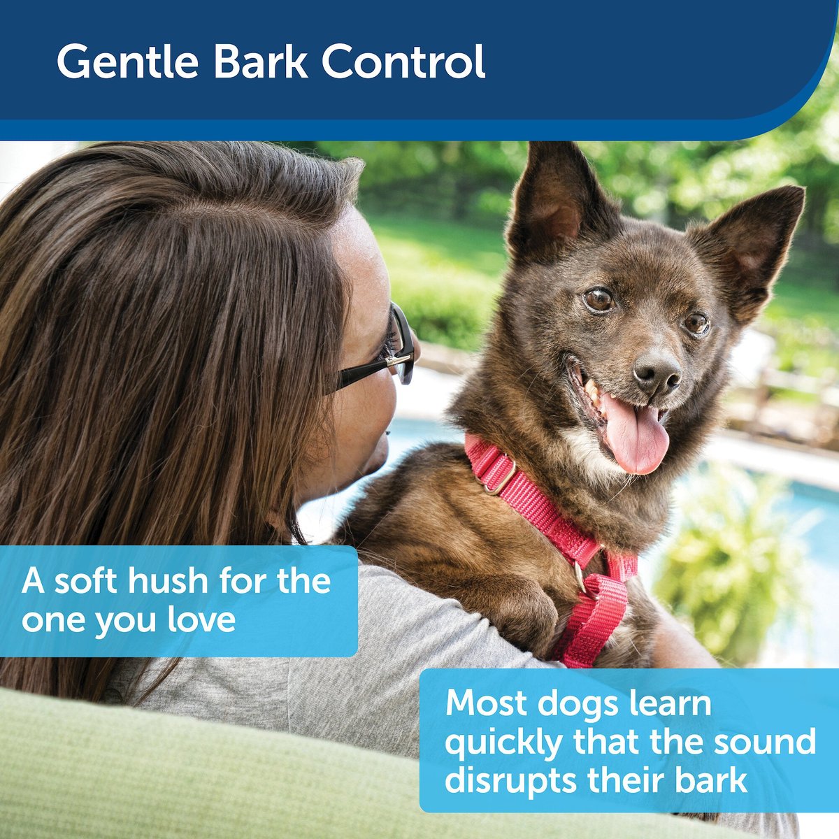 PetSafe Outdoor Ultrasonic Bark Control Deterrent