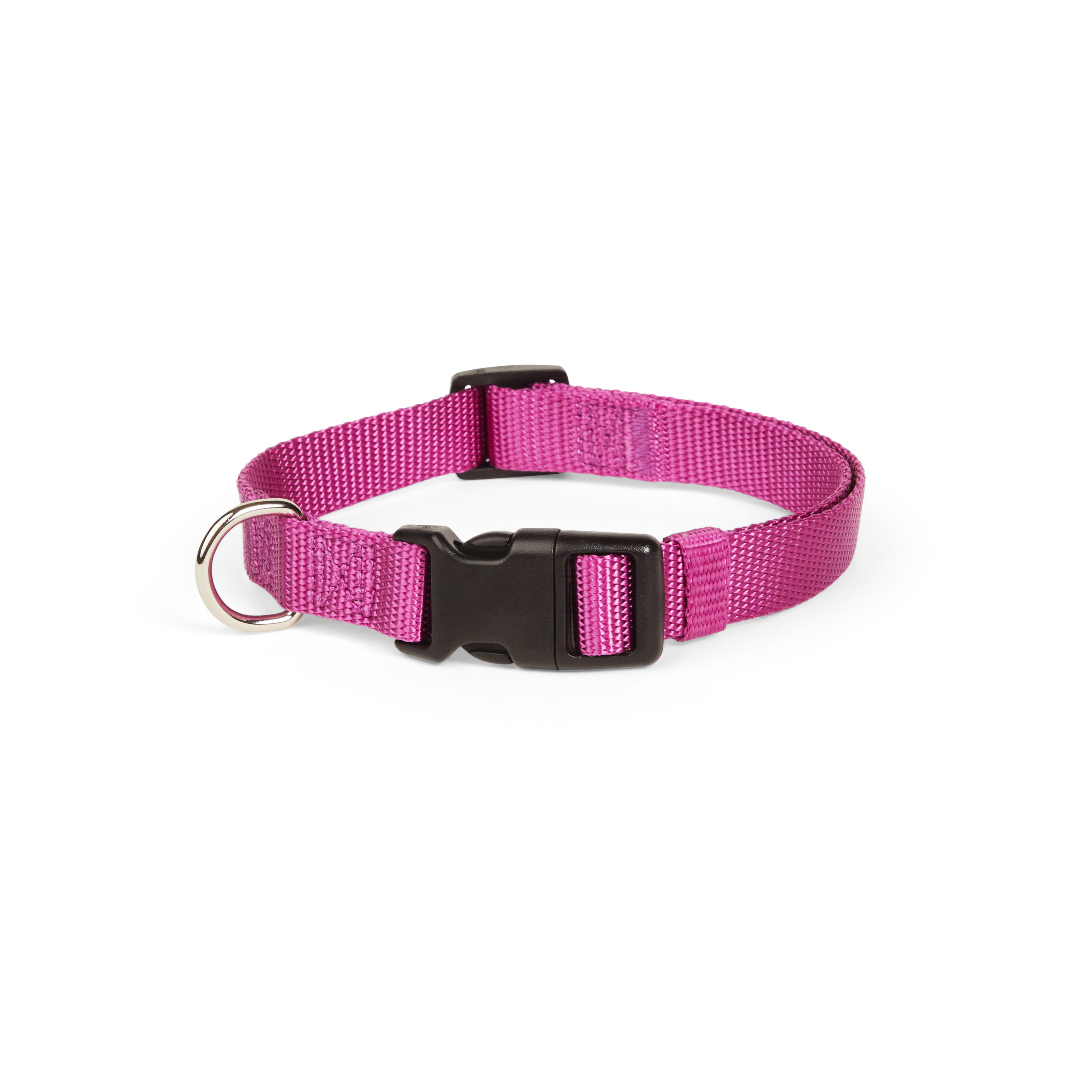 YOULY Berry Adjustable Dog Collar， X-Small