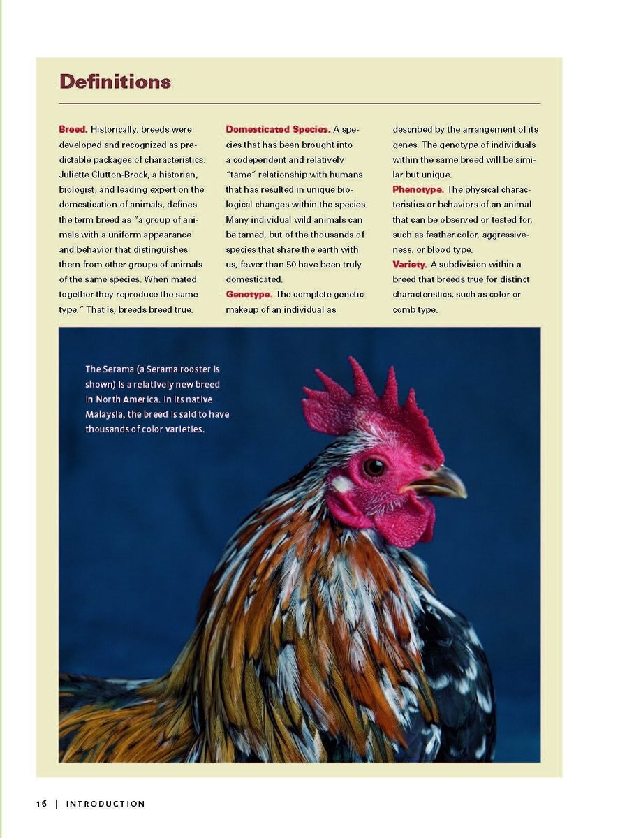 Storey's Illustrated Guide to Poultry Breeds