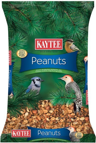 Kaytee Shelled Peanuts Wild Bird Food， 10-lb bag