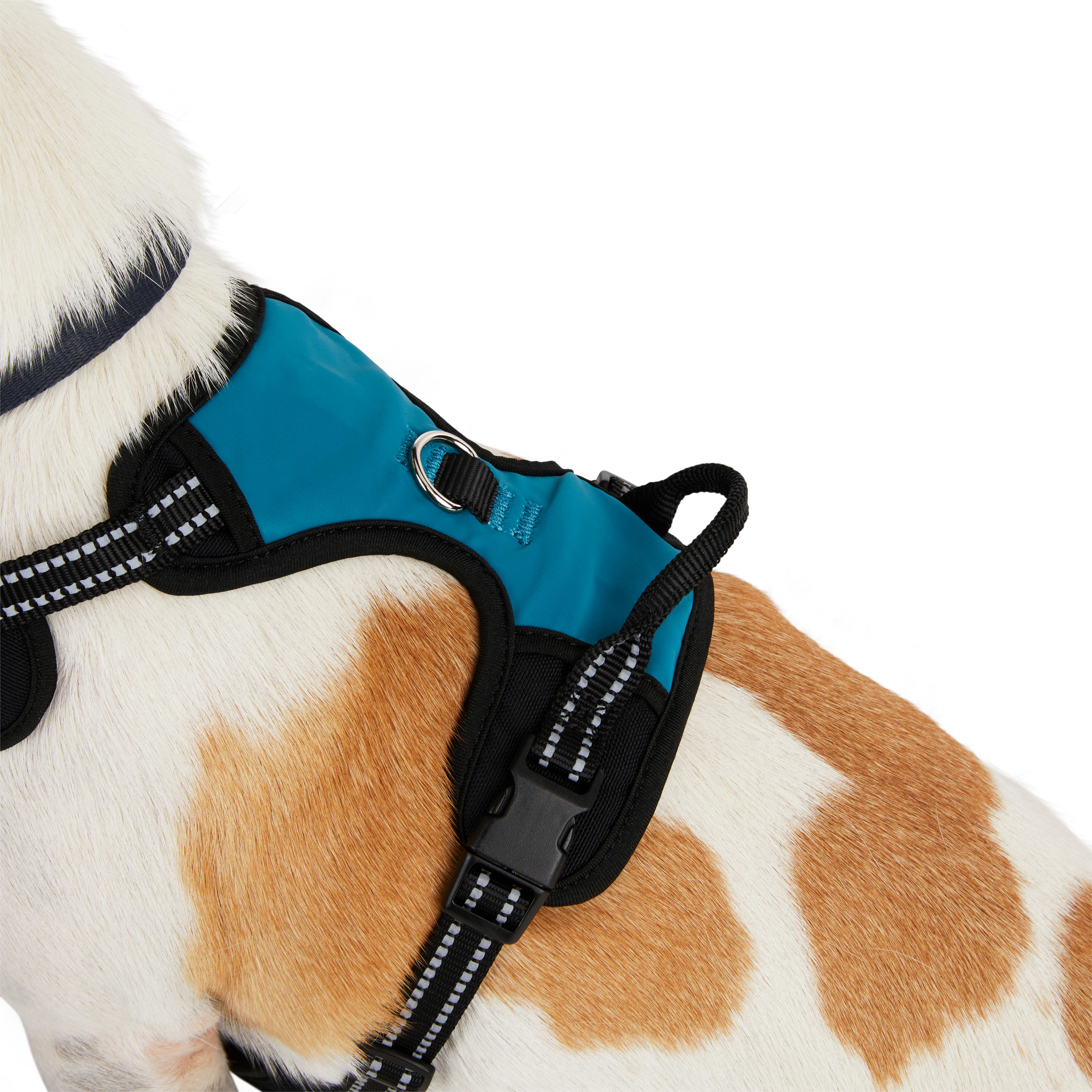 EveryYay Embrace the Pace Teal Reflective Dog Harness， X-Small