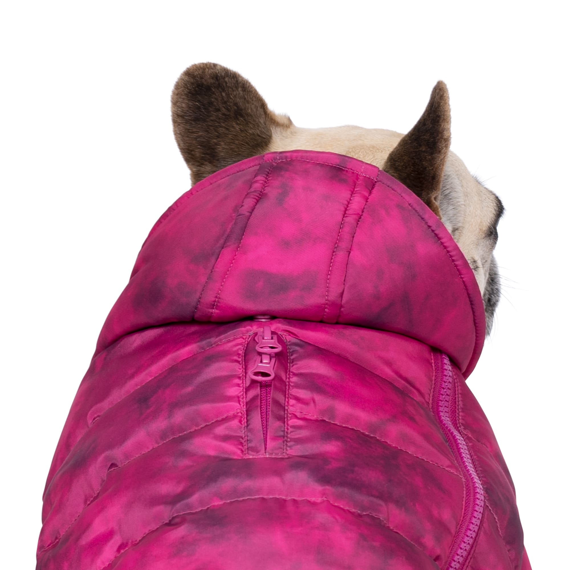 CANADA POOCH Prism Dog Puffer Magenta Size 28， 3X-Large