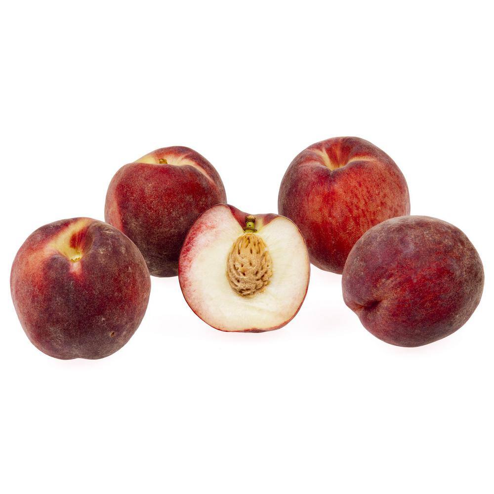 Online Orchards White Gold Peach Tree Bare Root FTPE003