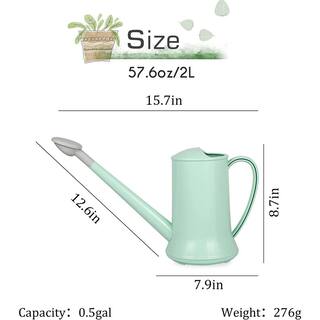 Cubilan Watering Can Outdoor Plant Lightweight Deluxe Plastic 2 L Resin Water Cans (Green） B0BWHLW8PZ