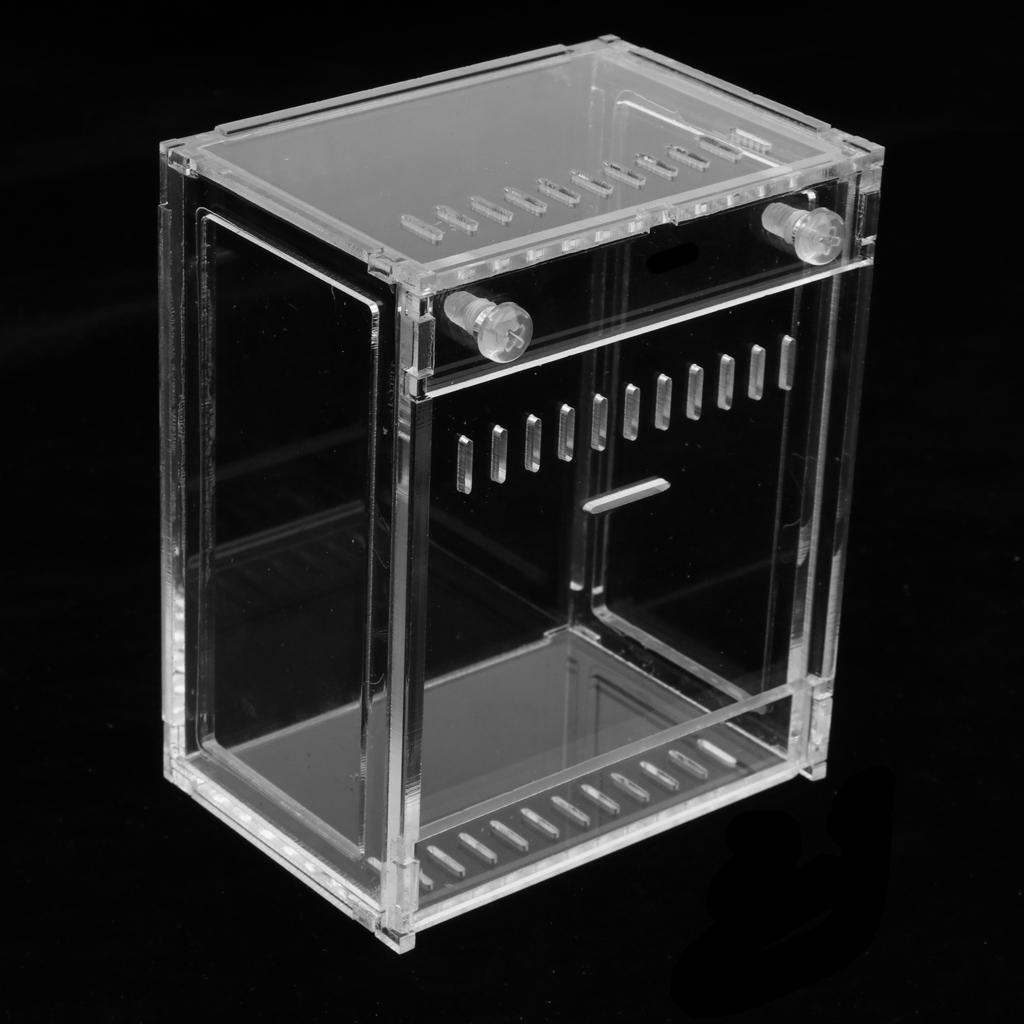 Clear Terrarium Box Reptile and Amphibian Breeding Box for Turtle