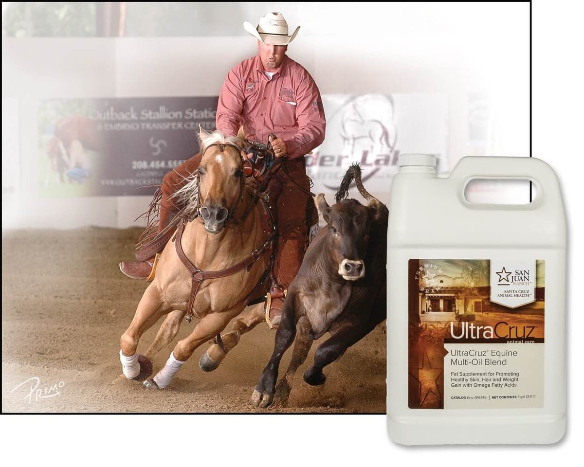 UltraCruz Multi-Oil Blend Skin and Coat Care Liquid Horse Supplement