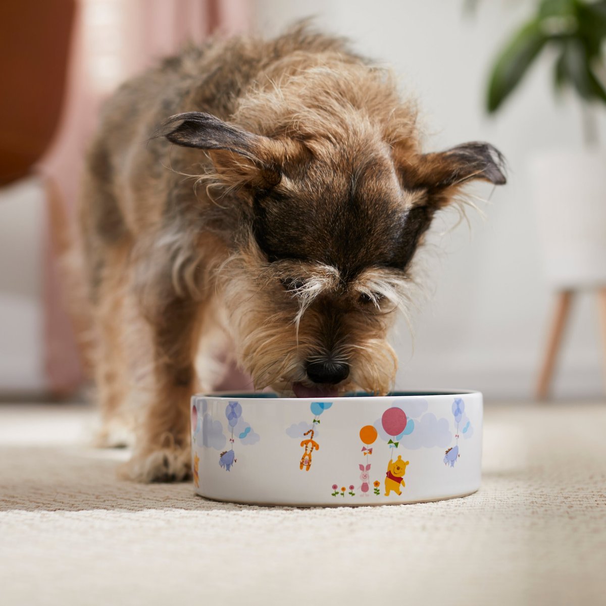 Disney Winnie the Pooh Non-Skid Ceramic Dog and Cat Bowl