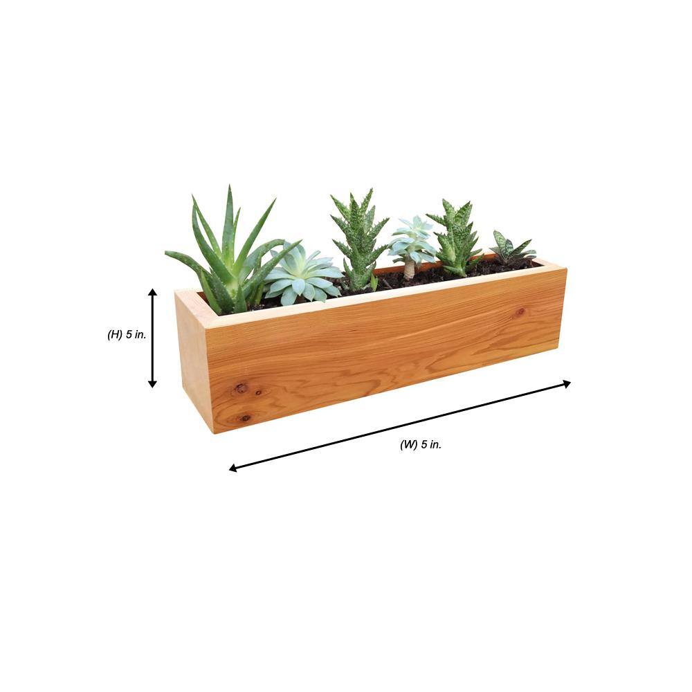 Gronomics 4 in. x 4 in. x 16 in. Succulent Planter Wood Rectangular SP-REC