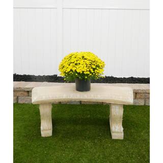 BELL NURSERY 3 Qt. Yellow Chrysanthemum Annual Live Plant with Yellow Flowers in 8 in. Grower Pot (2-Pack) CHMUM8YEL2PK