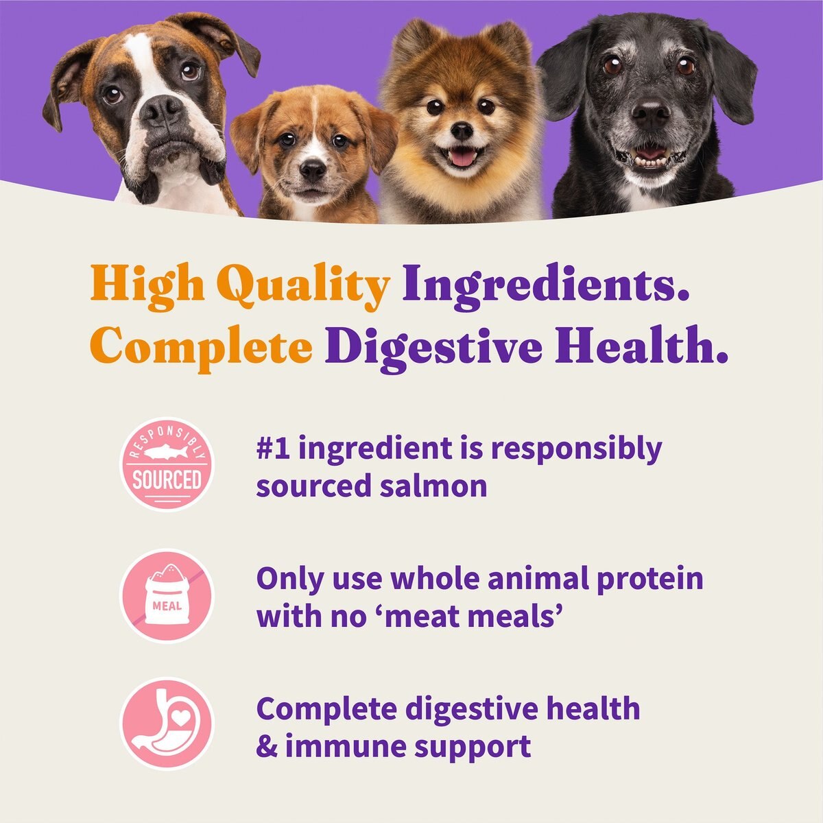 Halo Holistic Complete Digestive Health Wild-Caught Salmon and Whitefish Recipe Small Breed Dry Dog Food